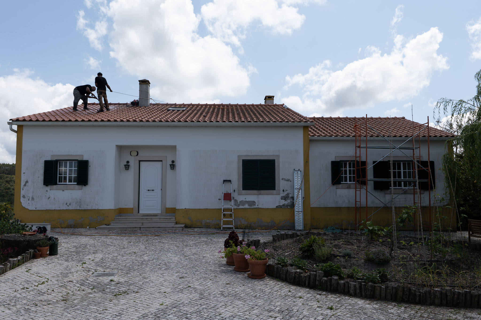 P1281179