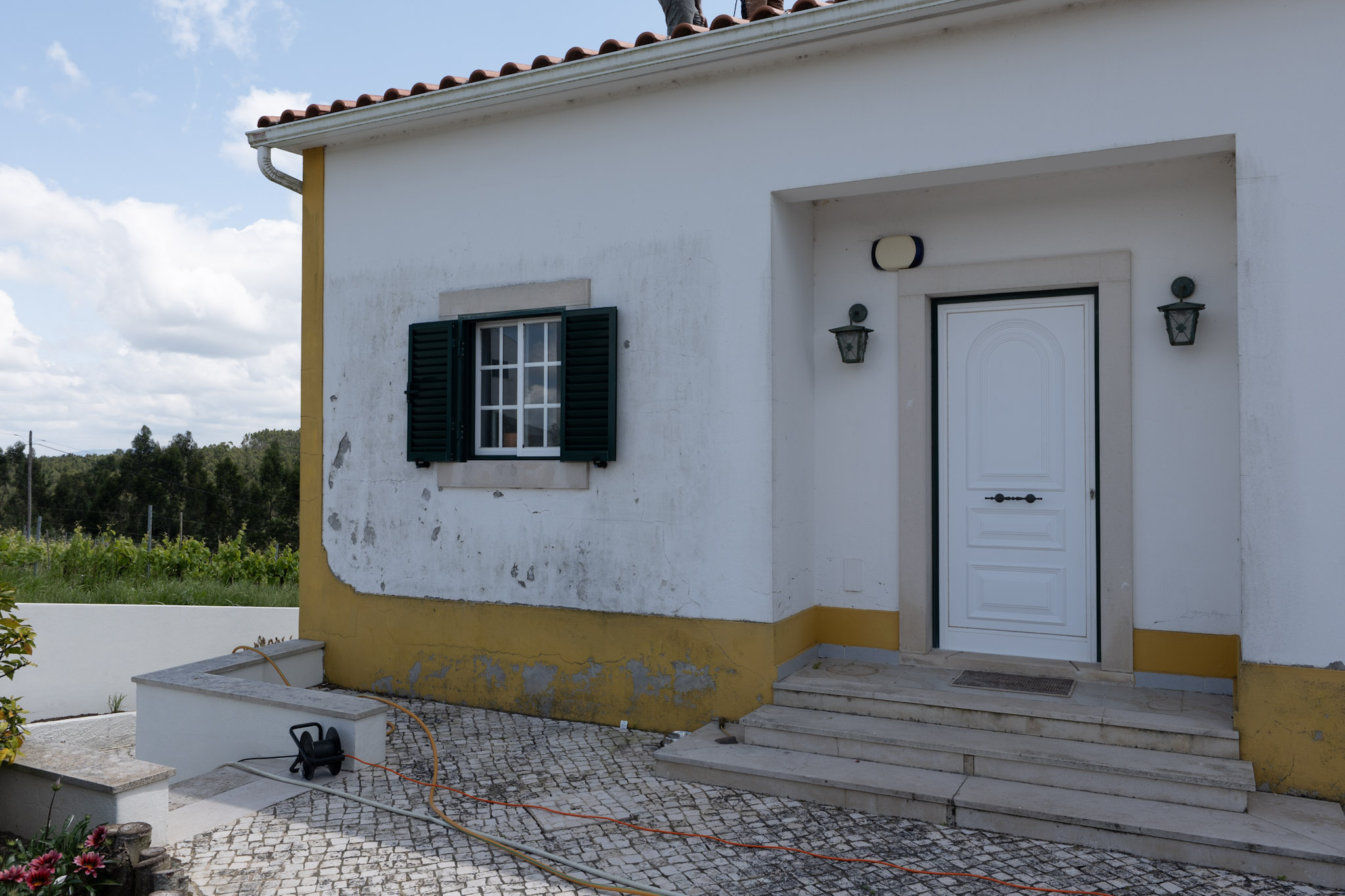 P1281185